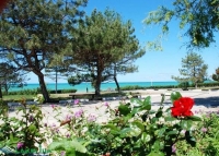 детский лагерь "МУЛЬТ-ФИЛЬМ"