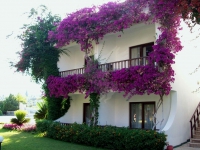 Отель Club Boran Mare Beach HV-1