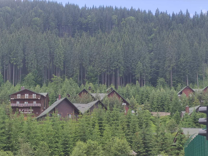 Дитячий табір Артек Лісовий 